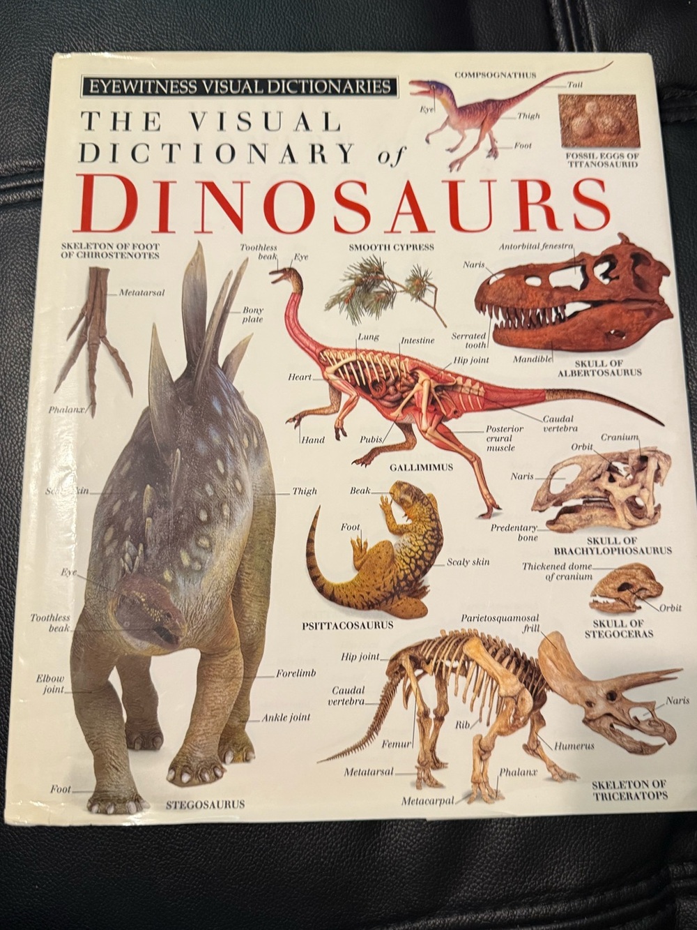 Eyewitness Visual Dictionary— The Visual Dictionary of Dinosaurs